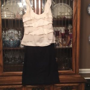 Talbots Alençon Lace Skirt